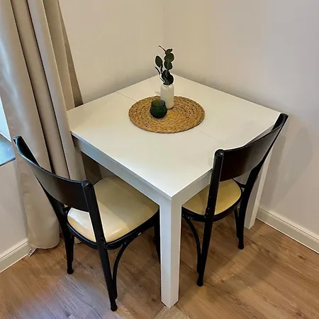 Modern Oasis * سولتو